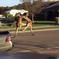 Video: Two kangaroos kicking the sh*t out of each other to classical music is worth a watch