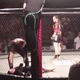 Video: Is this one of the most brutal MMA knockouts EVER?