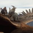Video: Air New Zealand’s latest Hobbit-themed flight safety briefing is just great