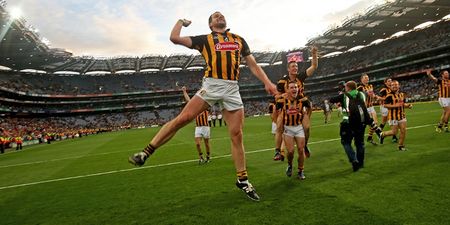 No major surprises as Kilkenny and Tipp dominate Hurling All-Star selections