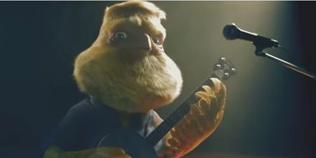 Video: This bizarre Bord Gais advert featuring a canary singing traditional Irish folk music is something else