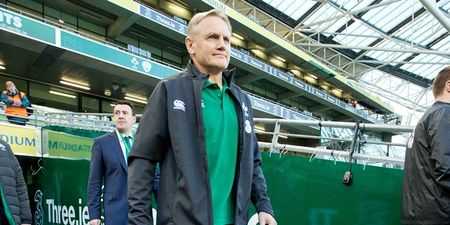 Joe Schmidt is on the road to recovery after having his appendix removed