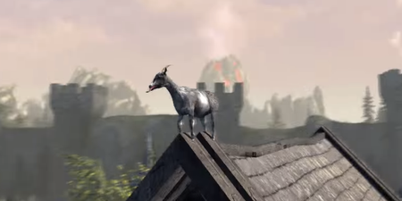 Video: Good news for fans of the Goat Simulator series!