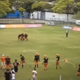 Video: American football team with Irish ties pulls off stunning hidden ball play in Brazil