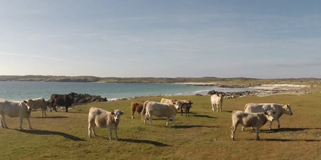 Video: You’d swear this was shot near the South of France & not the West Coast of Ireland…