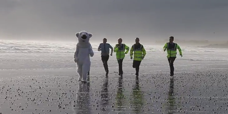 Video: Leinster stars, the Gardaí and a giant polar bear take an icy plunge for Special Olympics Ireland