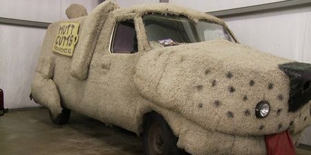 Pic: Genius farmer turns his car into a gigantic sheepdog