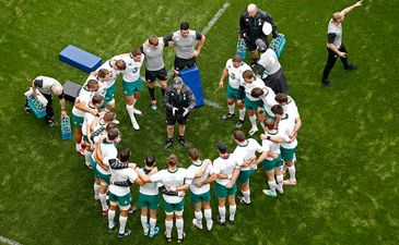 Irish coach Joe Schmidt has named his team to face South Africa