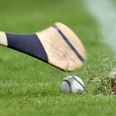 Pic: A really lovely GAA story happened in Portlaoise recently
