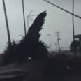 “Lookee here! Wow!” Check out this footage of a tornado ripping through LA