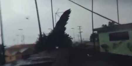 “Lookee here! Wow!” Check out this footage of a tornado ripping through LA