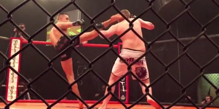Video: This amateur MMA knockout is all kinds of brutal