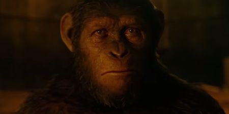 Video: The honest trailer for Dawn Of The Planet of the Apes is very, very funny