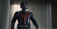 Video: The first full human-sized trailer for Ant-Man is FINALLY here
