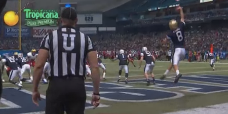 Pic: Cork-born American football player makes incredible one-handed catch