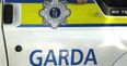 Pic: Gardai catch Waterford motorist with the worst fake insurance disc ever seen
