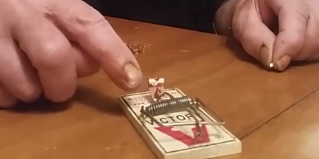 Video: Mousetrap Jenga looks like one very painful pastime