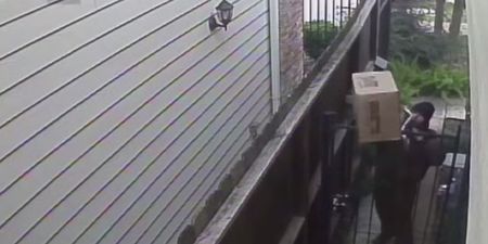 Video: World’s worst delivery man throws this package over the gate before peeing on the house