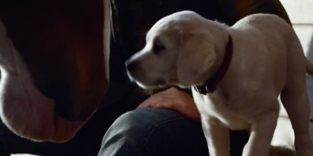 The best thing about the Budweiser Super Bowl ad is the 500 Miles cover