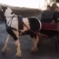 That’s Gas! Two Irishmen and a horse pull off the perfect ‘rural Irish doughnut’