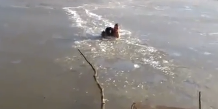 Video: Man smashes his way through frozen lake to save stranded dog