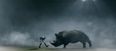 Video: Who’d win in a clash between Paul O’Connell and a rhino? Find out in this new Three ad
