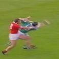Pic: One of the greatest GAA shoulders of all-time was used as a genius answer on this school test