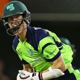 Irish tweeters were happy to jump aboard the cricket bandwagon after Ireland’s win over the UAE