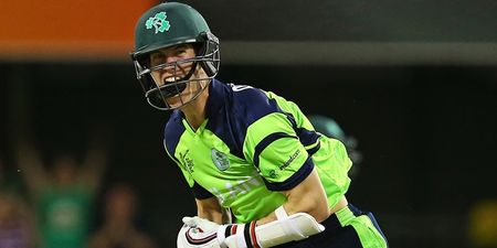 Irish tweeters were happy to jump aboard the cricket bandwagon after Ireland’s win over the UAE