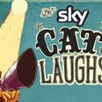 Cat Laughs announces its 21st anniversary line-up
