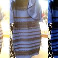 Video: #TheDress now has its very own song