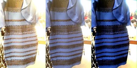 Video: #TheDress now has its very own song