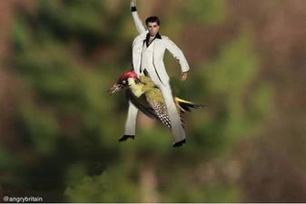 Pic: Here are the best photoshops from that image of a weasel riding a woodpecker