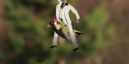 Pic: Here are the best photoshops from that image of a weasel riding a woodpecker