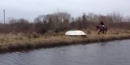 Video: Irish horse refuses to jump obstacle and ends up in the canal
