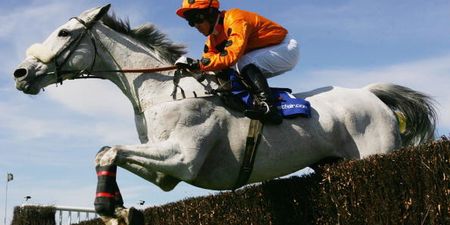 Grand National 2016 – When it’s on, where you can watch it and the latest odds