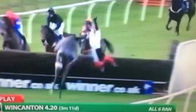 Vine: The most spectacular horse racing fall you’ll ever see happened today
