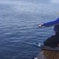 Video: Fermanagh hurler JP McGarry is terrible at kneeboarding