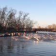 Video: Rowing team freaks out while being attacked by flying carp