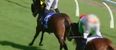 Video: Jockey suffers an unfortunate wardrobe malfunction in Australia [NSFW]