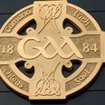 Pic: If you ever needed proof that the GAA is like a religion in Ireland then here it is