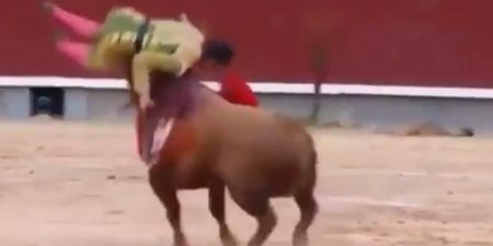 Video: Bullfighter in Spain suffers horrific injuries after getting gored in the neck (Graphic content)