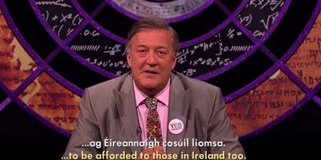 Video: Stephen Fry and international comedy stars support the Yes vote as Gaeilge