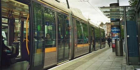 PICS: Dublin commuters had a mare when a horse got on the Red Line Luas this afternoon