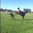 Video: Woman gets knocked out by a horse after a vicious kick to the head