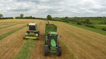 Video: When recording silage cutting with a drone goes wrong…