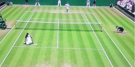 Vine: That Dustin Brown lad really isn’t bad at tennis, is he?