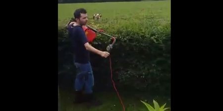 Video: Zero fu**s given by this Irish lad using a lawnmower to trim his hedges