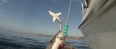 Video: Amazing footage shows a Great White shark getting photobombed… by another Great White shark