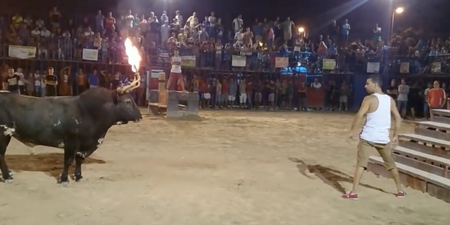 Video: Man taunts a bull with flaming horns and predictably gets gored